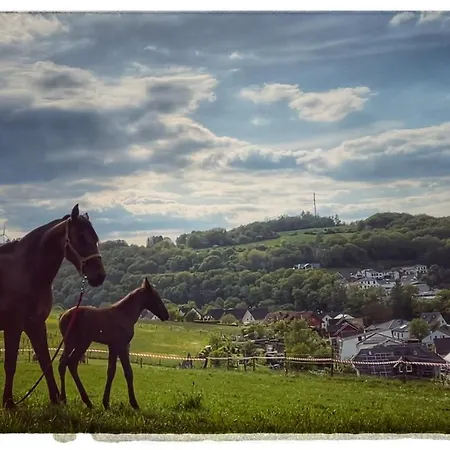 Berghof Rod Hotel Weilrod