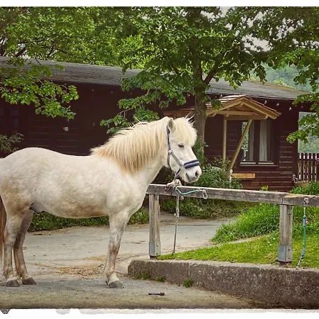 Hotel Berghof Rod Weilrod