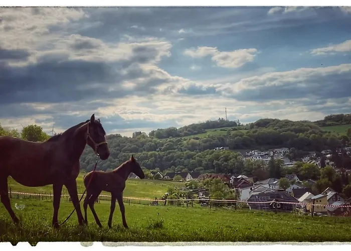 Berghof Rod Hotel Weilrod