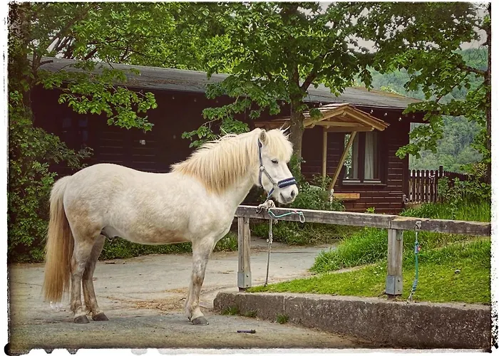 Hotel Berghof Rod Weilrod